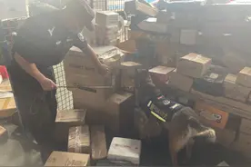 寄递渠道禁毒百日攻坚！北京警方3年缴获寄递毒品近70公斤图片