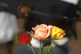 “真心爱过的人，做不了朋友，真的”图片