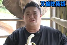 出生相声世家却养象十年！孙越再度与大象同框，亲密互动惹人羡慕图片