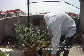 石家庄一户居民在自家阳台种植罂粟被查图片