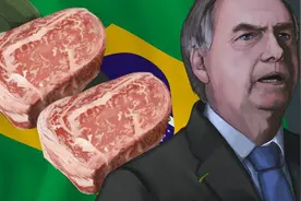  进口牛肉便宜为何不能大量进口？听专家怎么说图片