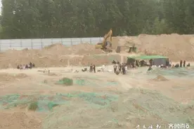 河南原阳4男童被埋事件追踪：致命的半小时到底发生了什么？图片