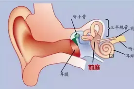 不吃东西就能缓解晕车？有人因此丧命！真正不晕车的方法只有这些图片