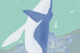 比赛结果发布：我为海洋画书签、“世间万象”年度摄影获奖者是？图片