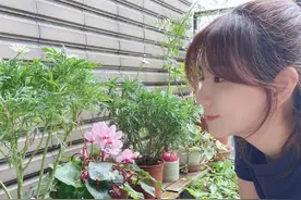 Ella嗅花露笑颜甜美少女，绑高马尾着休闲装简单舒适图片