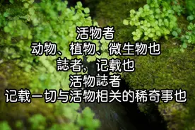 400岁鲨鱼走红，长寿因其“生命在于懒”？图片