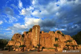 寓教于乐观赏动物，中国九大野生动物园，带孩子游玩的好地方！图片