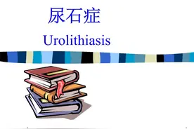 健康科普堂 | 尿石症不同体质的中医调摄图片