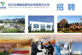 招聘 | 防疫先锋——武汉生物制品研究所有限责任公司图片