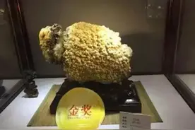 阿拉善捡到“奇怪”石头，因外形像绵羊！武汉石博会拍卖450万！图片
