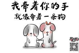 苟且狗 | 牵着你的手，就像牵着一条狗图片