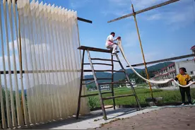 挂面第一村图片