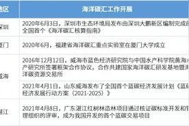 什么是“海洋碳汇”？如何进行海洋碳汇核算？图片
