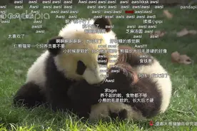 这些常见弹幕，是不是让你一眼爷青回？图片