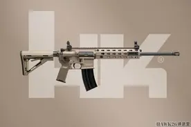 HK416民用版再出新型号 黑克勒-科赫公司推出FDE色限量版步枪图片