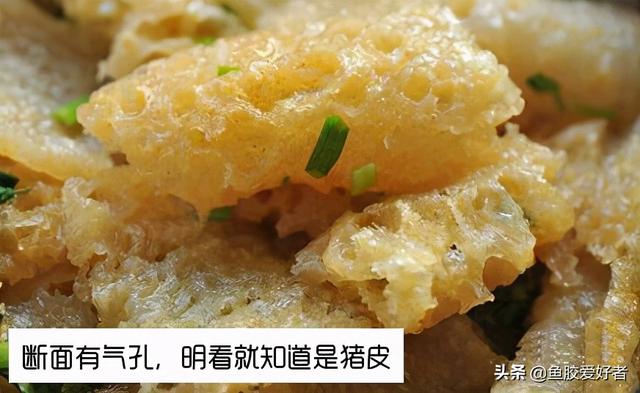 鱼胶的价钱 2026年鱼胶多少钱