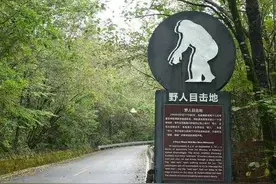 湖北最大原始森林，居世界四大自然之谜首位，传有野人却至今无解图片