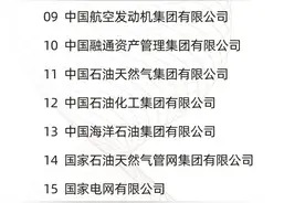 最新中央企业名录公布！鞍钢第34位、中国宝武第35位图片
