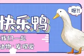 天鹅湖动物基地、海之语海洋世界九月特惠|门票8折！邀您走进野生动物世界~图片