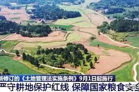 土地新规：五种情况下建房，要被拆，还要罚，每平方米罚款1000元图片