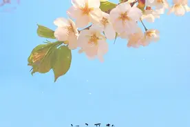 土象星座的爱情特点图片