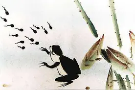 收藏：我的童年没有黑眼圈的哪吒，有的是小蝌蚪找妈妈图片