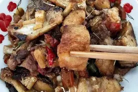 美食推荐：芥蓝鲜鱿、虾酱豆腐、大蒜烧猪肚、爆炒花鲢图片