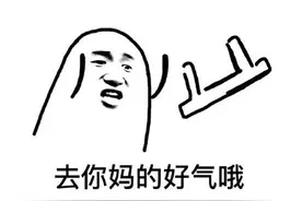 还想取代腾讯？印度人做的吃鸡游戏，手感拉稀甚至还不能联机图片