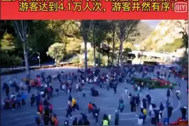 游客太热情，多地景区人满为患图片