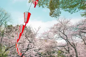 上野公园是日本的第一座公园，历史文化深厚图片