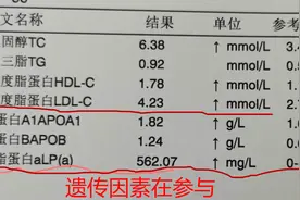 血脂化验中“脂蛋白a”高了，什么意思？提示什么病？医生解答图片