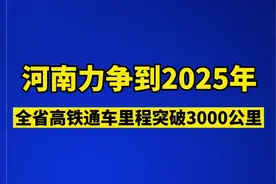 打造“轨道上的中原城市群”河南力争到2025年全省高铁通车里程突破3000公里图片