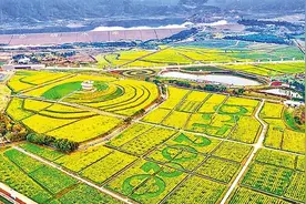农场大观园和欢乐田园今起恢复开园图片