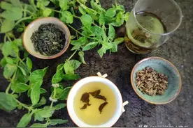 新鲜的薄荷吃不完，教你做成薄荷茶，方法简单好储存，可以喝一年图片