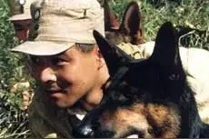 1993年,功勋军犬拍戏绑真炸药,炸得粉粹,导演却兴奋大笑:太好了!图片