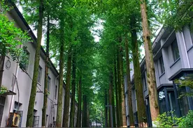 杭州又一免费景点火了，适合遛娃拍照，人称老厂房里的绿野仙踪图片