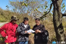 襄阳100岁以上的这些古树，市民可以“挂牌”认养！每年只需100元图片
