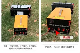 为何电蚯蚓的人如此猖獗？一次上百斤，暴利下隐藏何等致命危机？图片