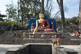 尼泊尔有一座寺庙，是亚洲最古老的庙宇，因猴子太多而被称为猴庙图片