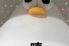 TS娱乐倒闭，毁了旗下所有艺人，从未见过这样割韭菜的公司图片