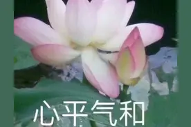 松仁和你唠唠嗑：女人一直辱骂醉酒回家的男人，被打是活该图片