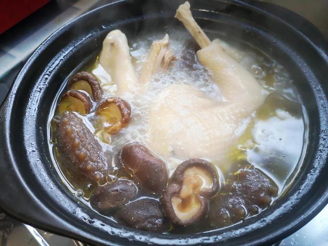 海参花胶炖鸡汤的做法大全 2026年海参花胶炖鸡汤的做法大全视频