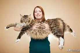 吉尼斯纪录里的猫狗，都有什么世界之最？图片