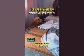 湖南一女子两年前收养的流浪狗，全身无毛多处溃烂，如今能看孩子图片