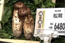 万菌之王：顶级松茸吃法大全图片