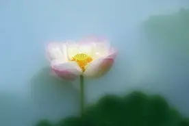 忍一时风平浪静，退一步未必海阔天空图片