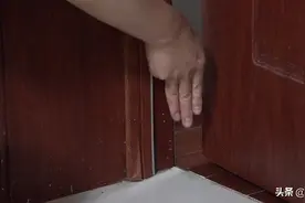 猫咪是液体做的？一个实验打脸这种说法图片