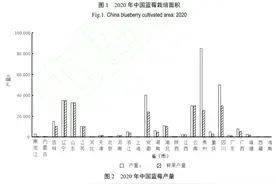 2020中国蓝莓产业报告图片