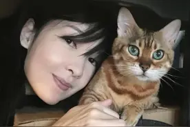 53岁周慧敏1月失两爱猫，结婚12年无儿女，昔日小三逆袭生俩图片