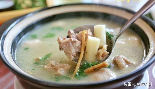 鲨鱼骨煲汤的做法大全 2026年鲨鱼骨煲汤的做法大全儿童